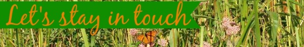 swamp-butterfly-email-banner